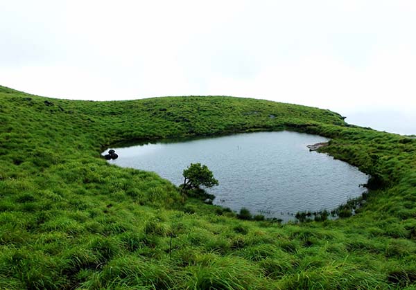 Mysore Wayanad Ooty 4  day tour from Vellore